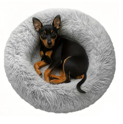 Cama En Forma De Donut